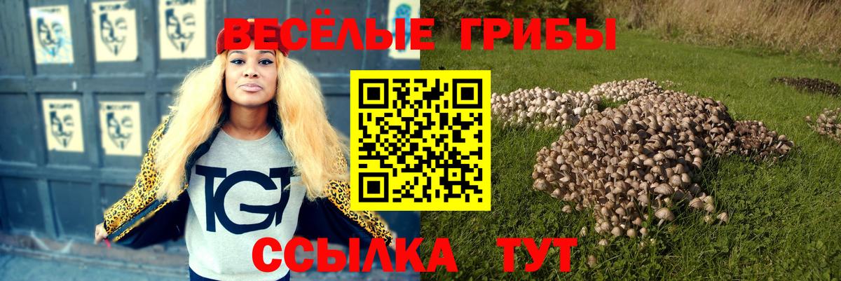 Псилоцибиновые грибы мухоморы Серов