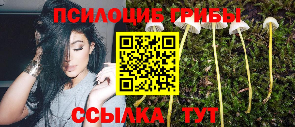 Псилоцибиновые грибы прущие грибы  продажа наркотиков  Серов  Вход с VPN  Галлюциногенные грибы мухоморы 