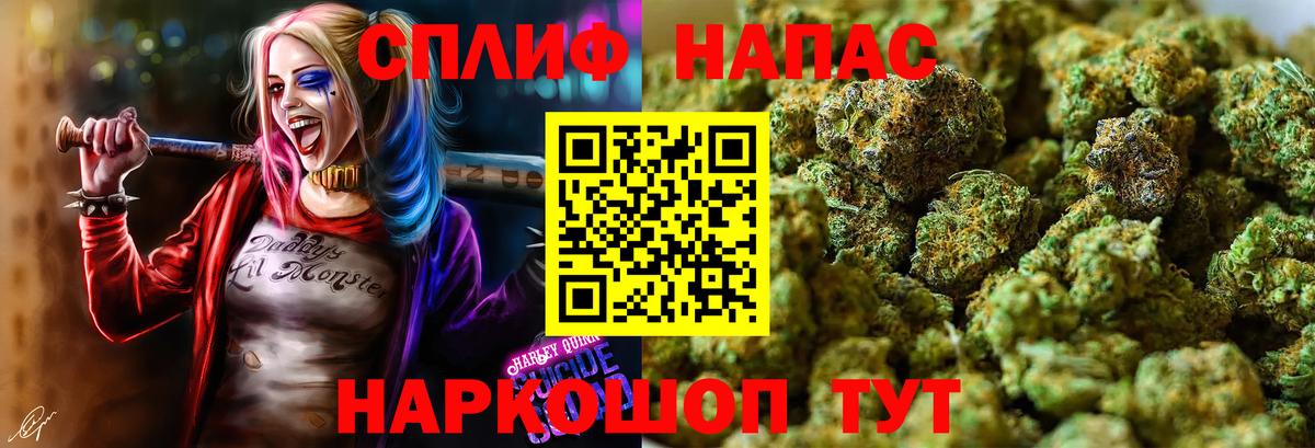 Каннабис индика Серов